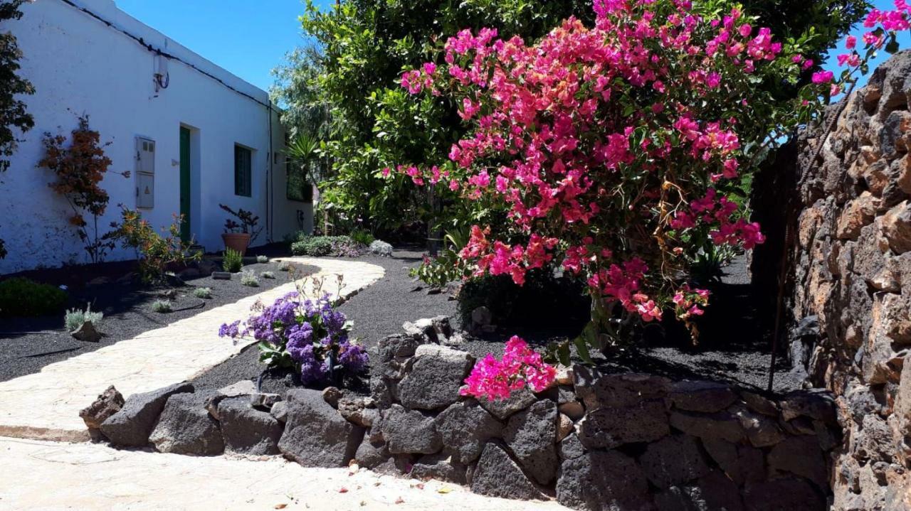 Villa Casa Tara Mácher Esterno foto
